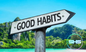 Habits of a Successful Real Estate Agents
